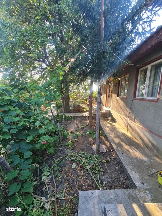 Ceamurlia de jos- casa batraneasca cu 3.200 mp teren