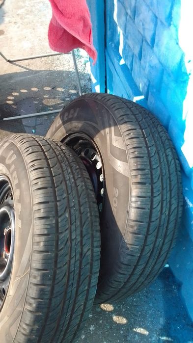 Сельхозживотные коневозка