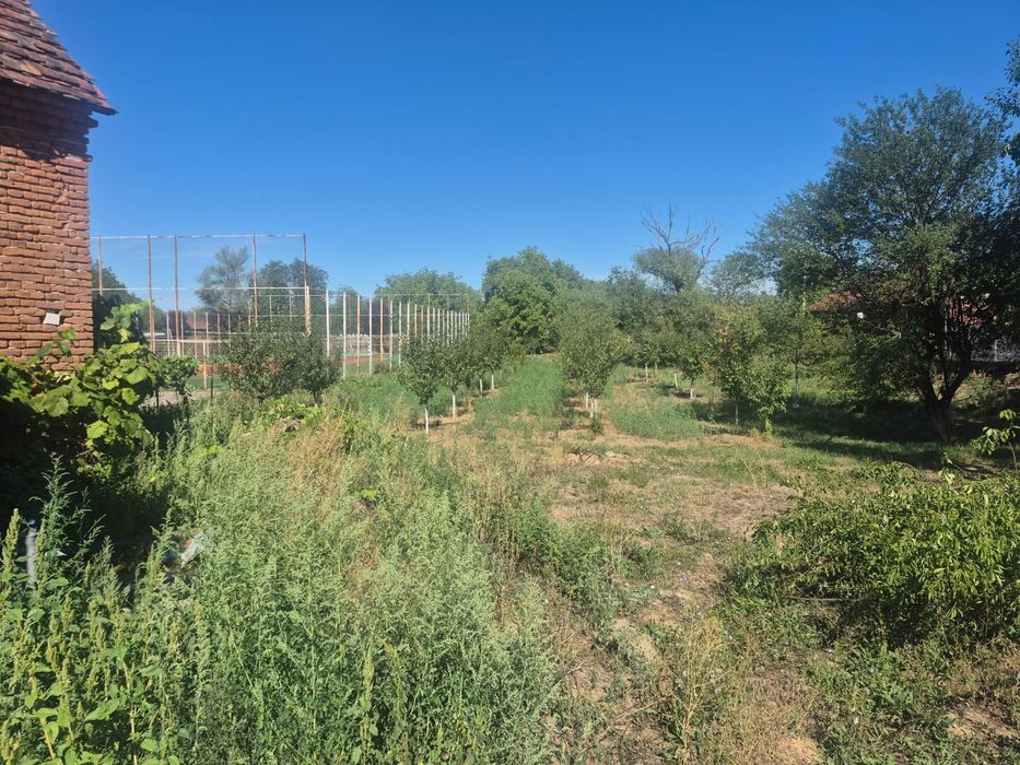 Vând casă în localitatea Belotinț, județul Arad