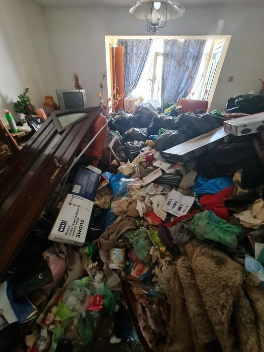 debarasari mobila deșeuri etc