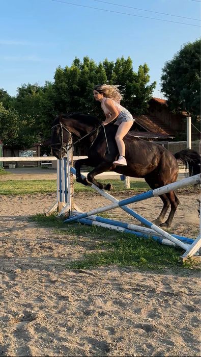 Cal de sport unguresc