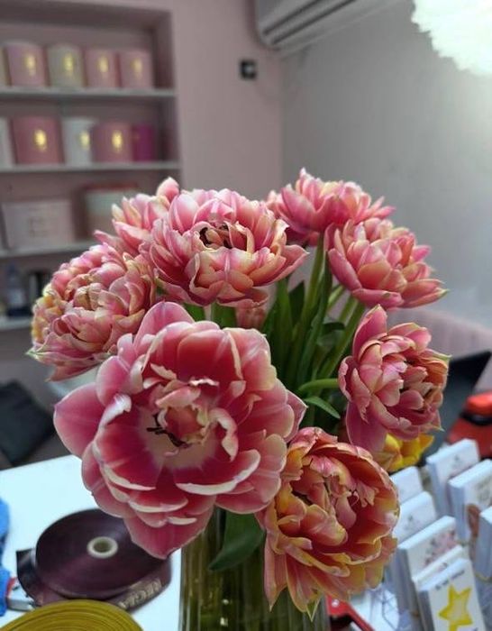 Продам тюльпаны