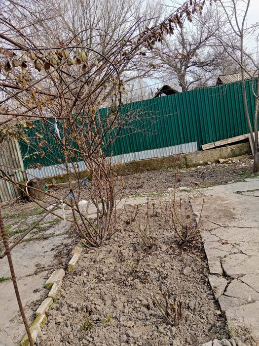 Продается дом г.Ленгер