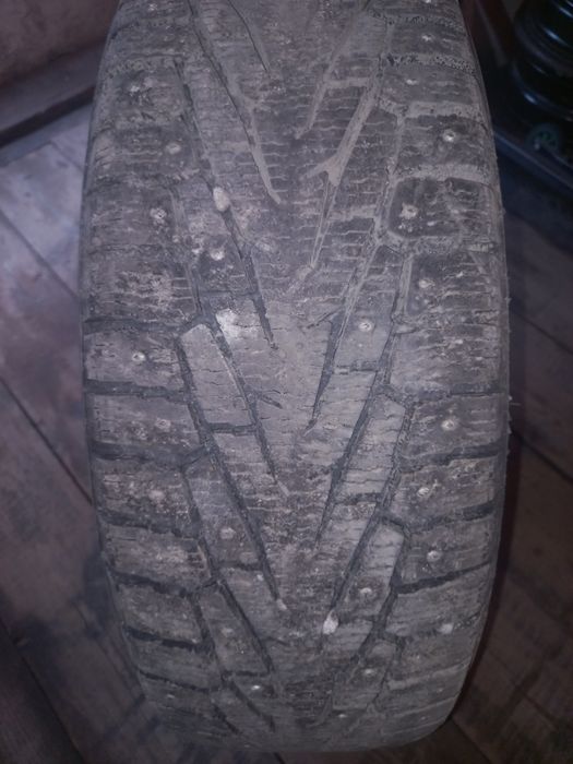 Продам шины нокиан