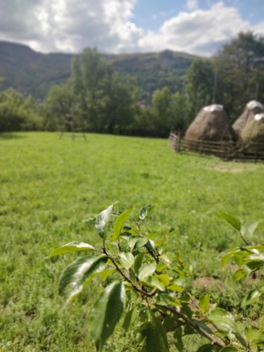 Vând teren intravilan Teșila, Valea Doftanei