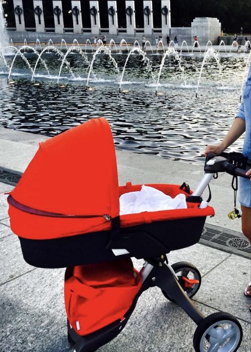 Коляска stokki  explory