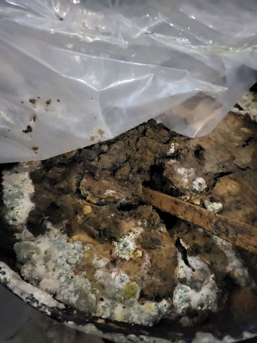 Продам осадок подсолнишный  масло