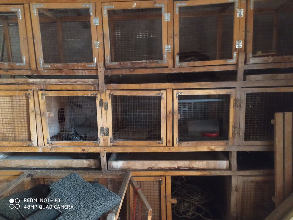 Куйон сетка товук сетка