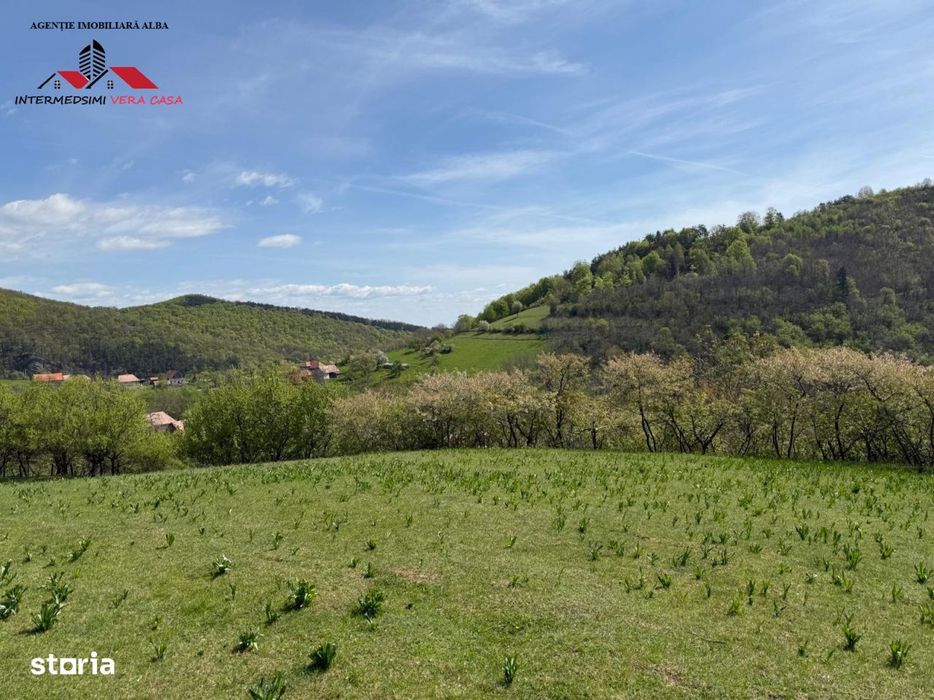 Teren intravilan 8330 mp de vanzare in Inuri Jud Alba