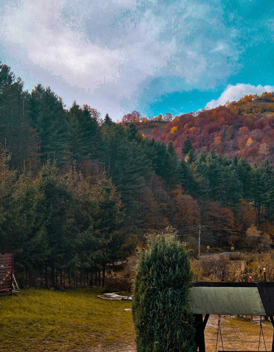 Casa din Luncă 2 – Poiana Mărului, Brașov nr. 676 D