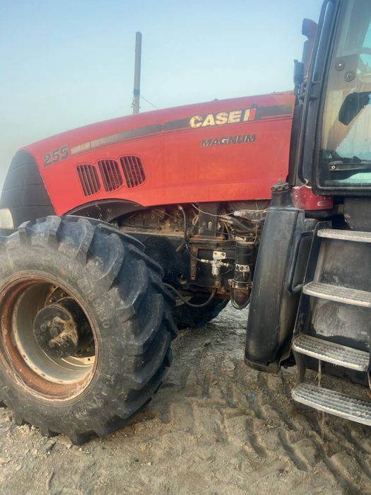 Magnum 255 zoʻr holatda