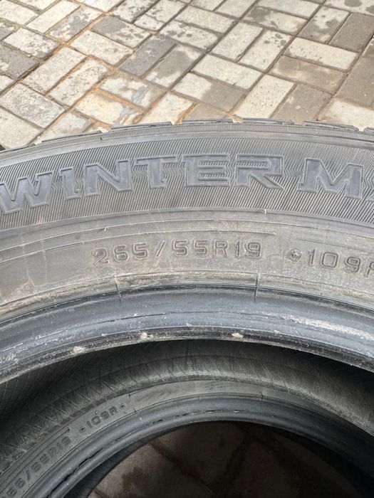 Зимние шины DUNLOP R19