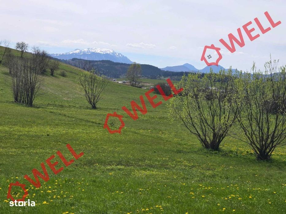 De vânzare teren extravilan în Sărămaș!