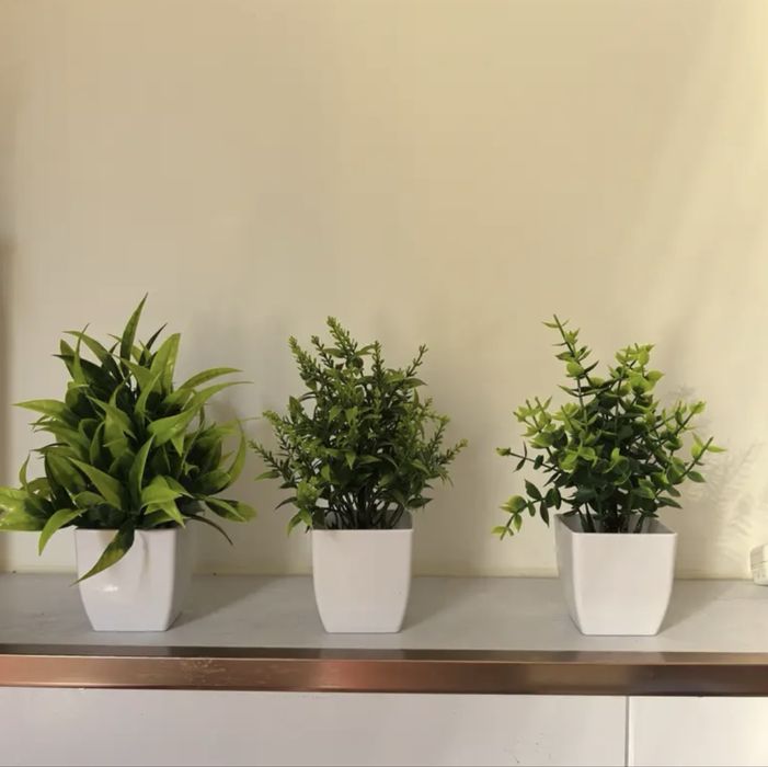 Декорации за Домът и Градината