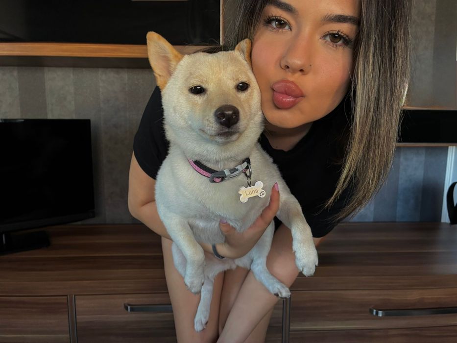 Pet Sitting/Dog Boarding