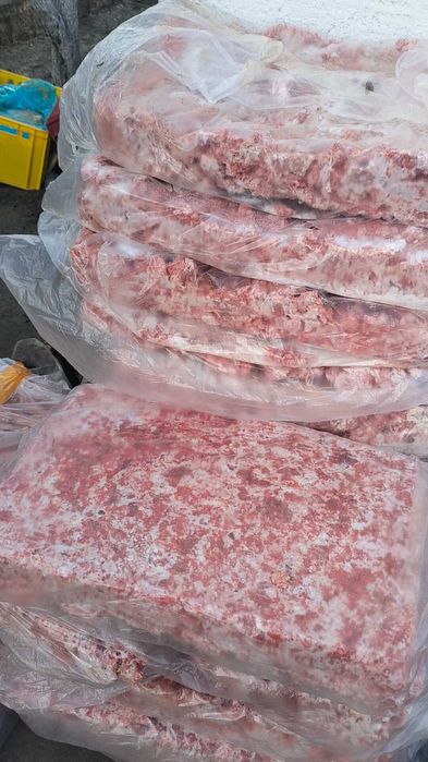 Корм для собак и для кошек