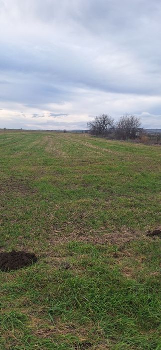 продавам  упи село Найден Герово