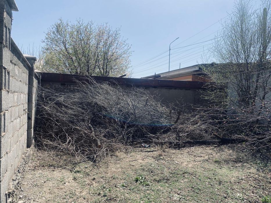 Тегін отын алып кетем деген адамға