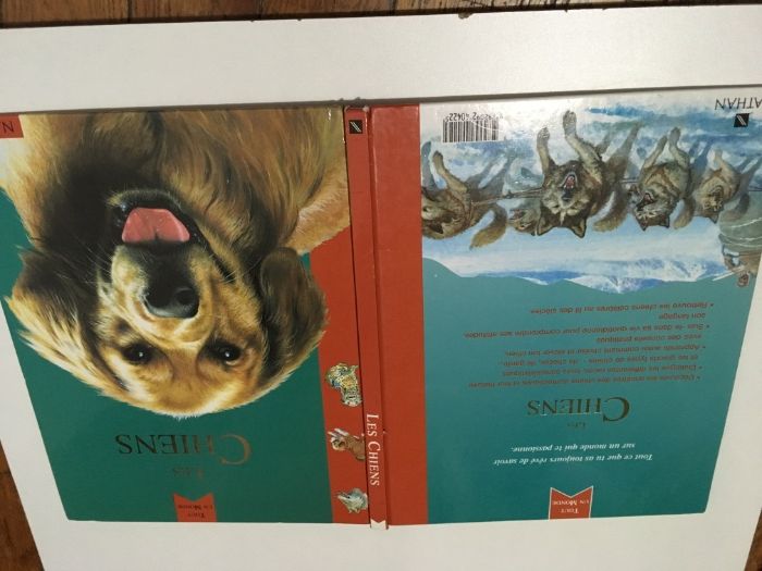 2 детски книжки на френски и английски език Les Chiens кучета