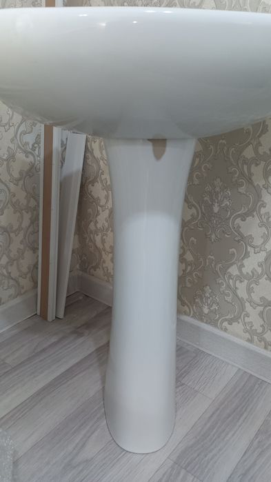 Раковина тюльпан