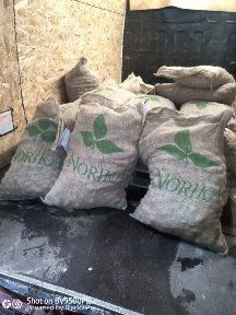 Семе Сорая клас Б