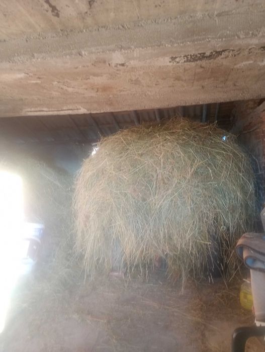 Vind FIN .de anul 2025