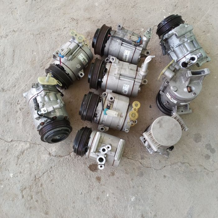 Kandisaner kaptiva maibga kobtga neksyaga jentra bor horat y