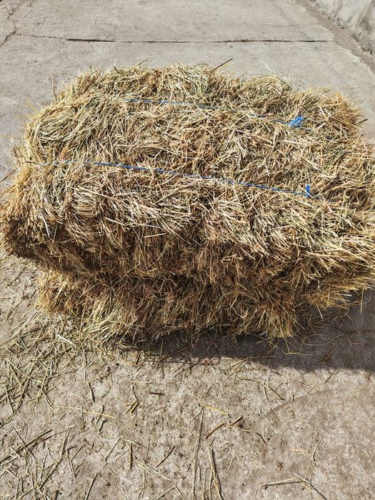 Baloți fân, lucernă