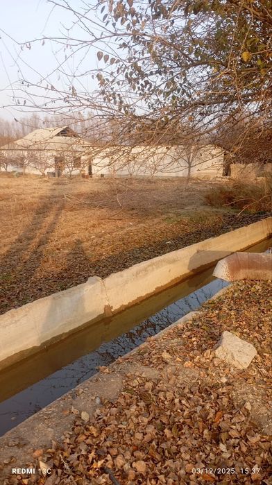 uy sotiladi 90 sotix buka tumanida