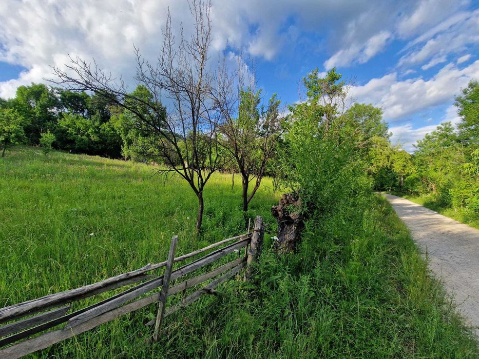 Teren de vanzare Cucuteni