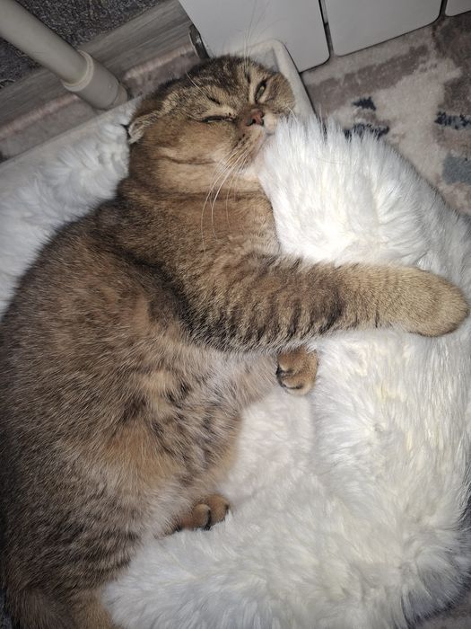 Vyazka qizlani uchrashuvga taklif qilamiza