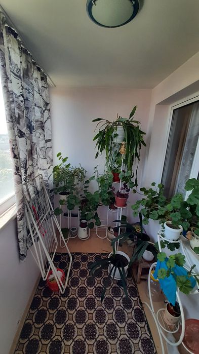 Продава се Четиристаен апартамент в Плевен, Широк център - 110 кв.м за 1264 €/кв.м - Снимка #15