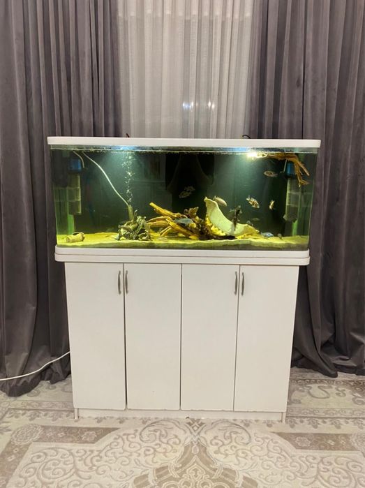 Продам аквариум 250 литров