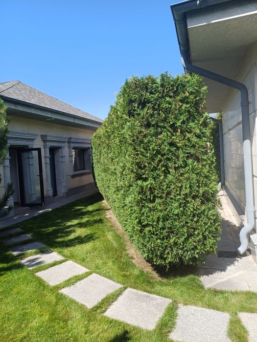 Садовник.Уборка территории