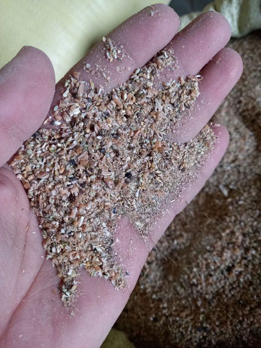 Bug'doy    zenniy athot