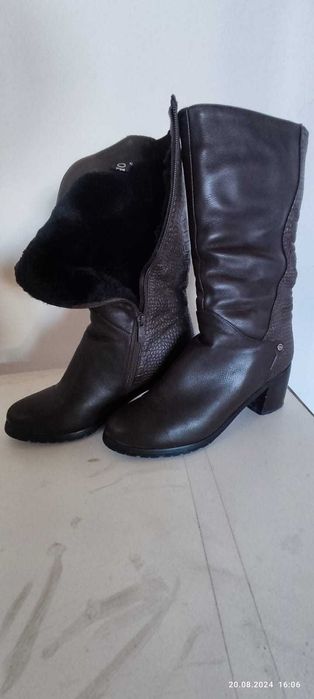 сапоги женские осенние