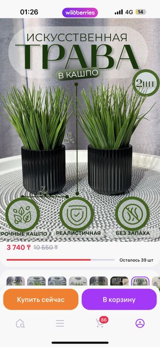 Трава в кашпо! Разные наборы