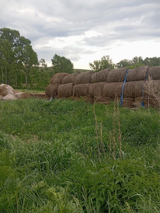 Продам сено хорошее