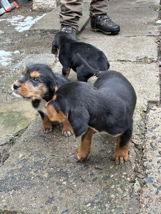 Бараци от работещи родители