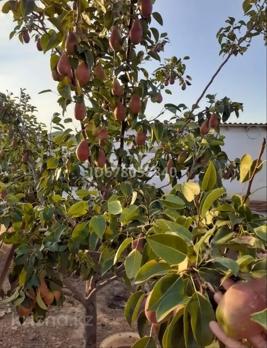 Дом в хорошем состоянии