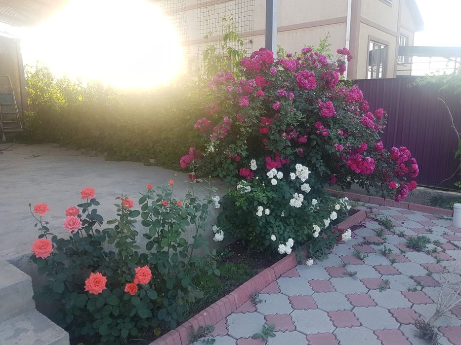 Продается дом в казцике