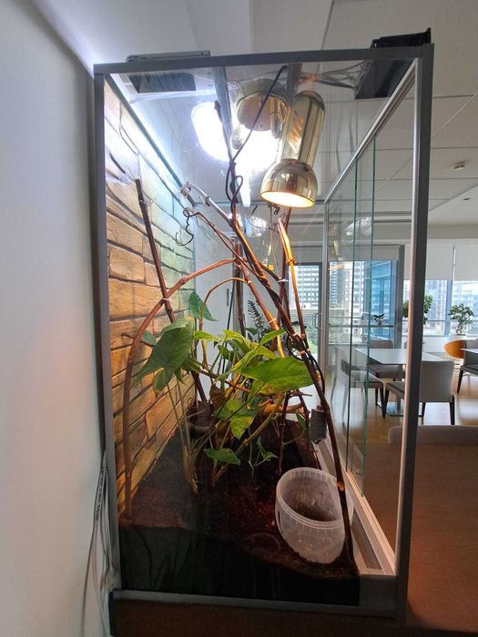 Террариум для рептилий