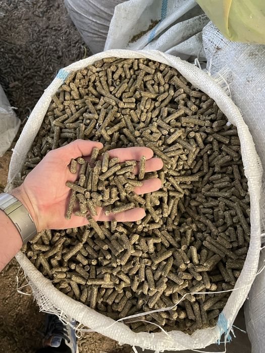 Lucerna, trifoi , iarba sudan , maturica,sorg, borceag,mei,rapita