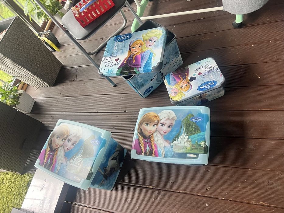 Кутии за съхранение FROZEN
