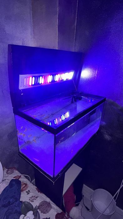 Schimb acavriu pentru filtru extern