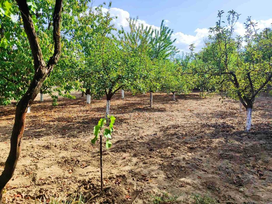 Продава се Къща в с. Телериг, Област Добрич - 90 кв.м за 417 €/кв.м - Снимка #17