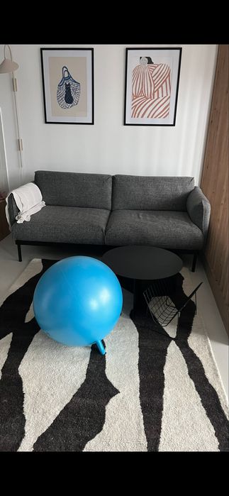 Canapea IKEA gri, model APPLARYD