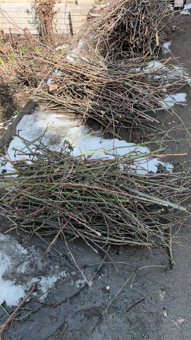 Вывоз мусора старый мебель