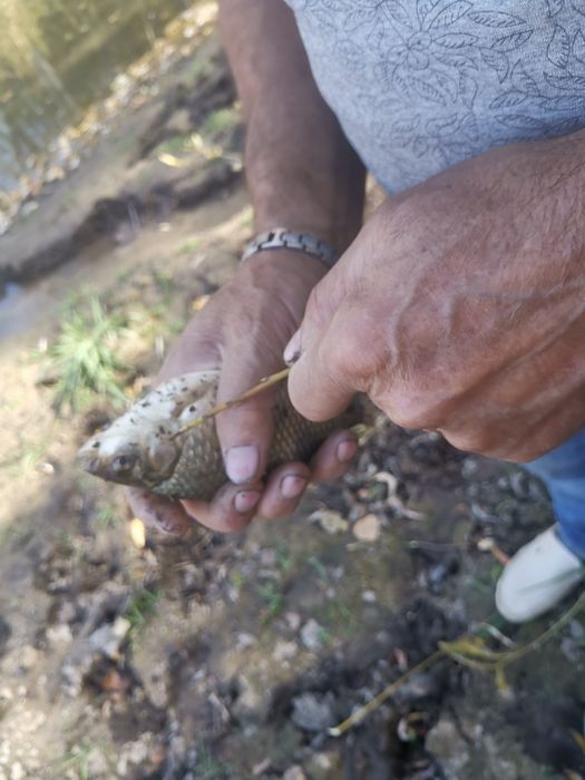 Продам или обмен дом с озером !