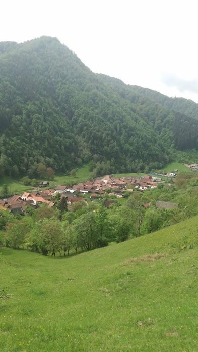 Vand teren in Rau Sadului